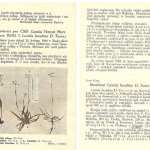 Československé botanické listy z roku 1948